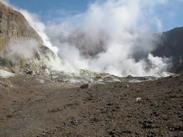 New Zealand vacation, land and sea tour