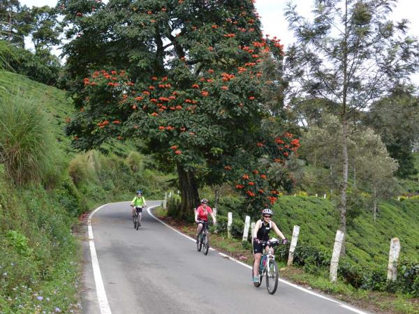 Southern India cycling holiday, tailor made