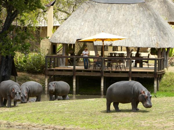 Sabi Sands safari in South Africa & luxury Mauritius beach stay