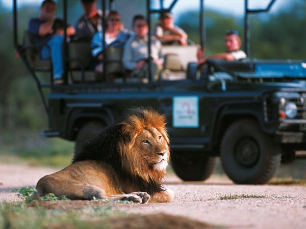 Sabi Sands safari in South Africa & luxury Mauritius beach stay