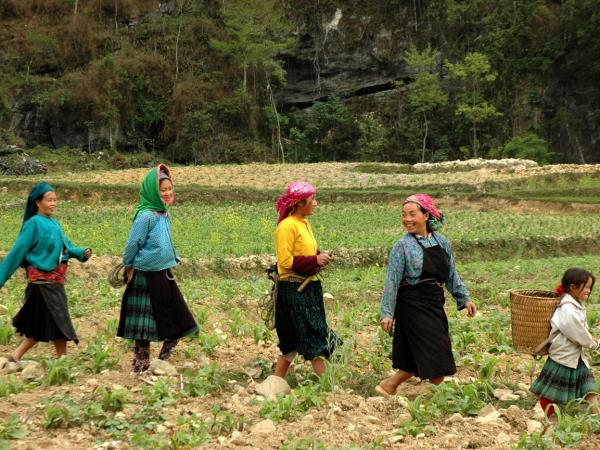 North West Vietnam tour