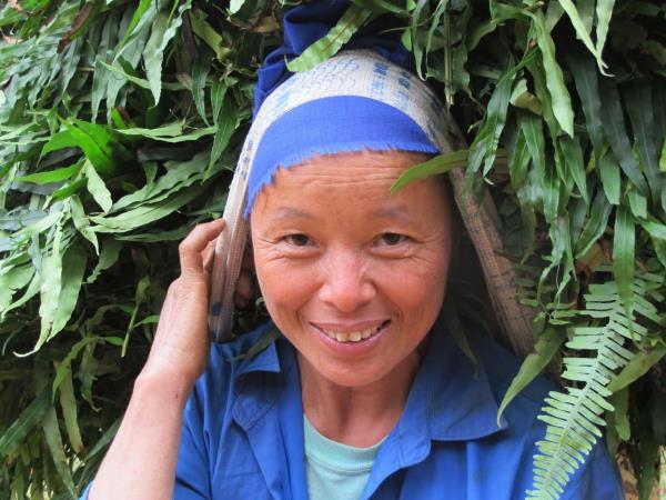 Vietnam hill tribe trekking vacation, 5 days
