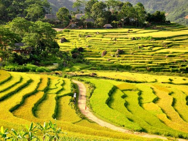 Vietnam hill tribe villages trekking vacation