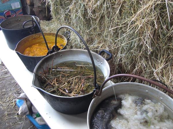 Scotland traditional crafts vacation, dye to hand spin