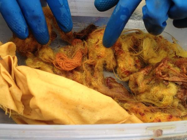 Scotland craft weekends, felt making & natural dyeing