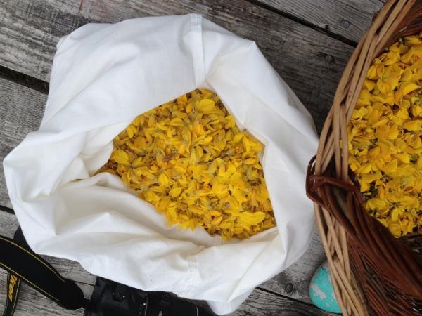 Scotland craft weekends, felt making & natural dyeing