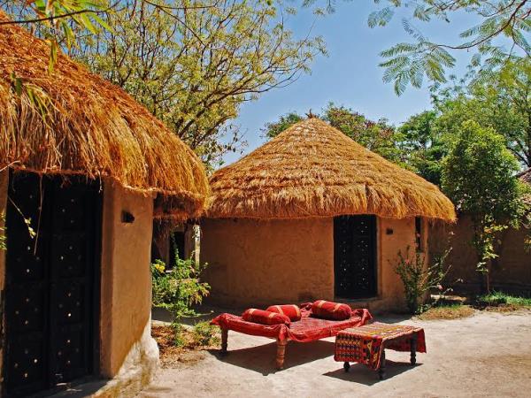Gujarat vacations, Asiatic Lions, Blackbuck & Wild Asses