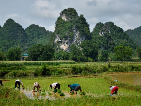 Vietnam, north east biking vacation