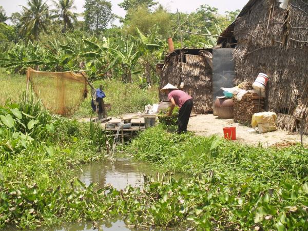 Mekong Delta cycling tours