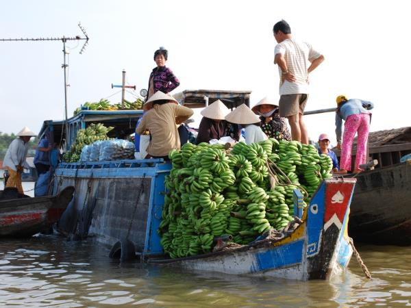 Mekong Delta cycling tours