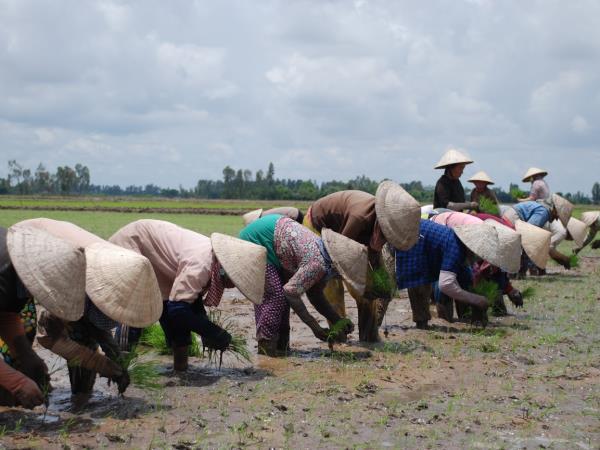 Mekong Delta cycling tours
