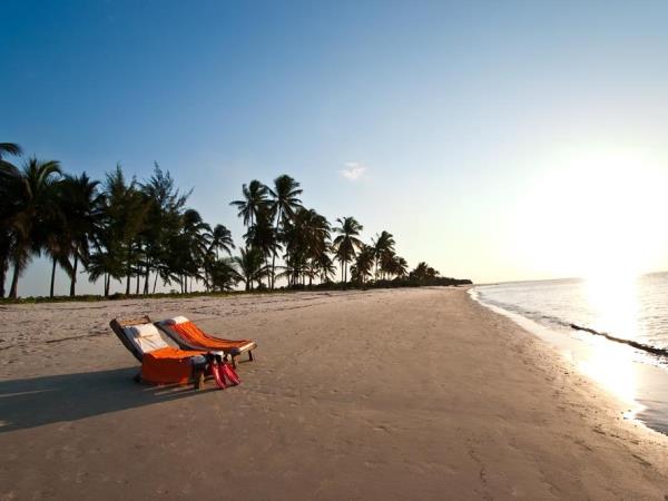 Selous safari & Mafia Islands diving vacation
