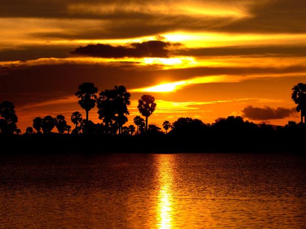 Southern Tanzania luxury safari vacation
