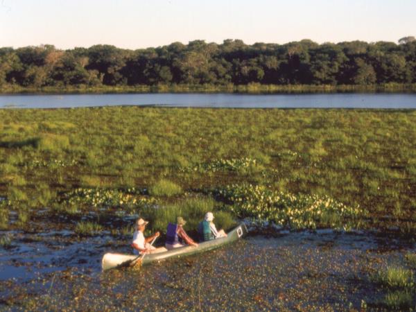 Tailor made vacation in Brazil