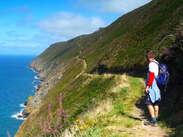 Vegetarian bed & breakfast in West Wales