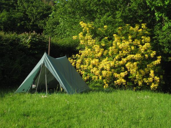 Vegetarian bed & breakfast in West Wales