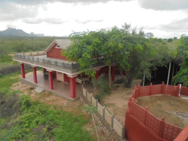 India wildlife and culture tour, Rajasthan