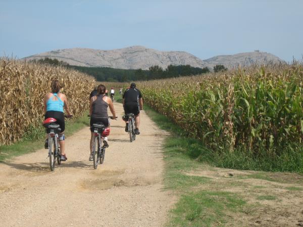 Cycling tour in Catalonia for food lovers, Spain