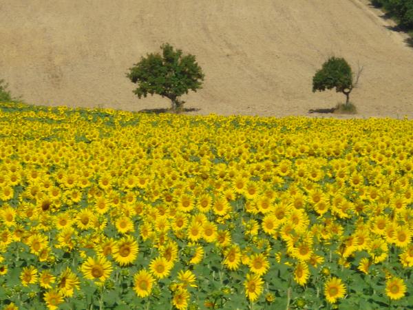 Umbria self guided hiking vacation, Italy