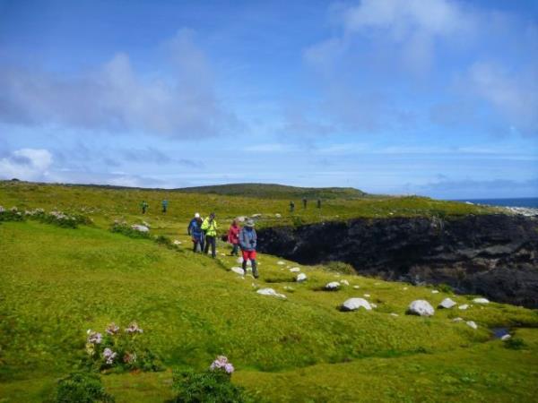 New Zealand and islands bird watching cruise