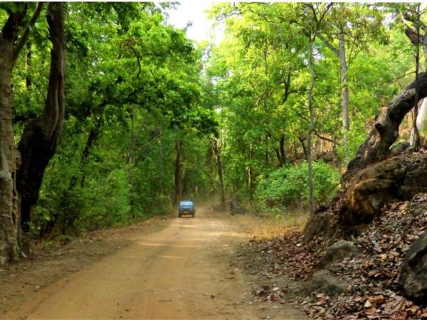 Wildlife photography vacation in India