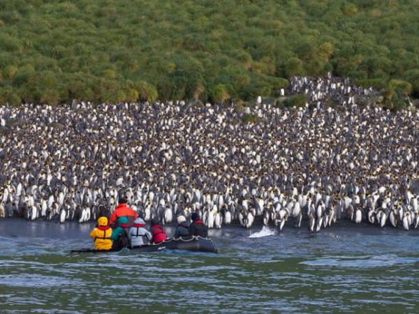 New Zealands Subantarctic Islands cruise