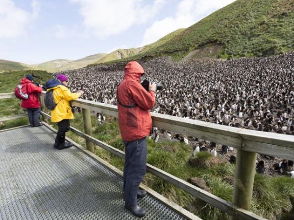 New Zealands Subantarctic Islands cruise