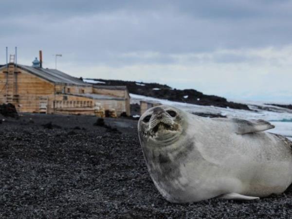 Antarctica and New Zealand Subantarctic Islands cruise