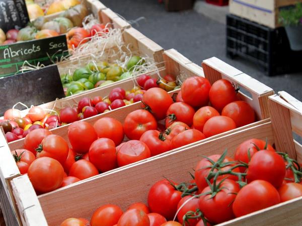 Provence gourmet tour in France