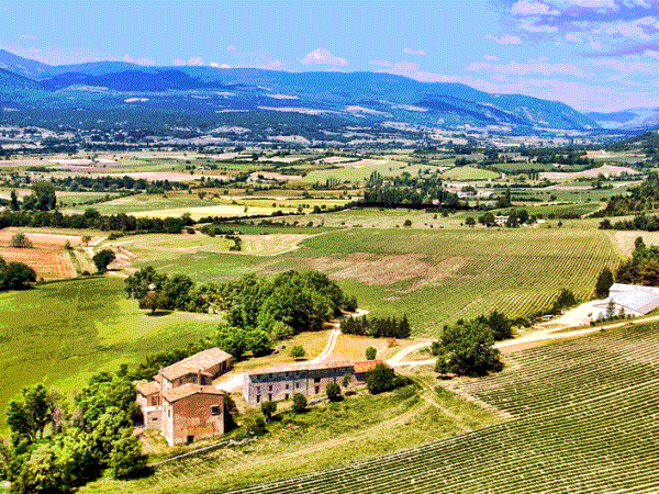 Provence gourmet tour in France