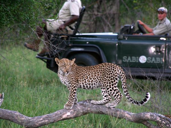 Luxury game reserve in South Africa & Oberoi beach resort, Mauritius