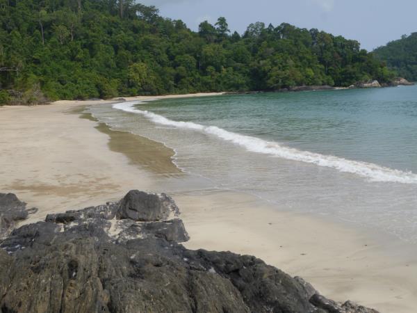 Wild Borneo vacation, private departure