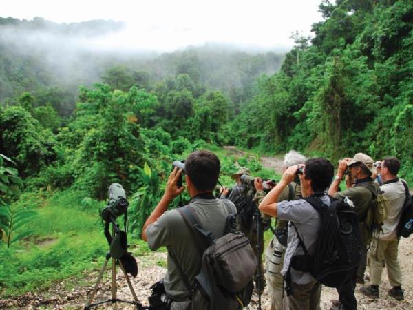 Melanesia birdwatching vacation