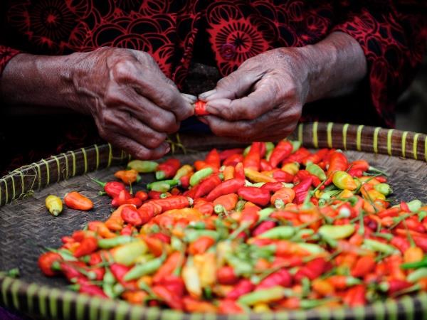 Bali vacations on a shoestring
