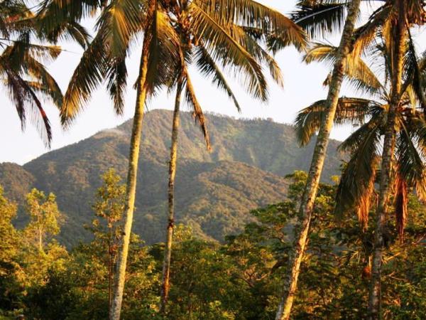 Tailor made vacation in Bali, Off the beaten track