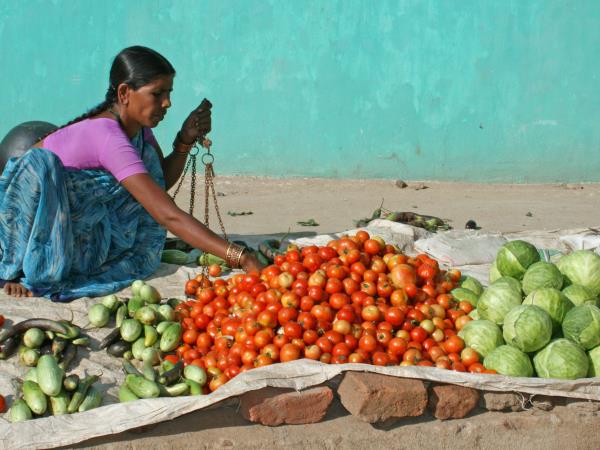 India cultural tour, Chattisgarh and Orissa