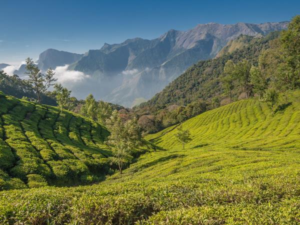 Kerala and Karnataka small group vacation, India