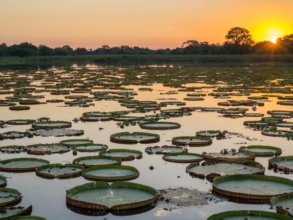 Brazil tailor made vacations, wetlands & waterfalls