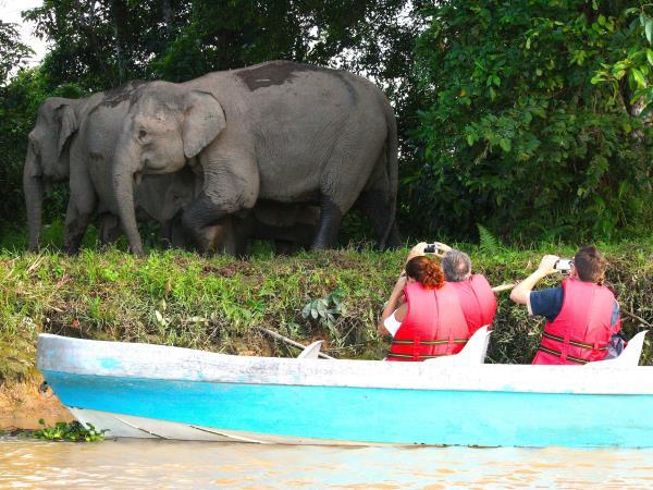 Borneo family vacation, tailor made