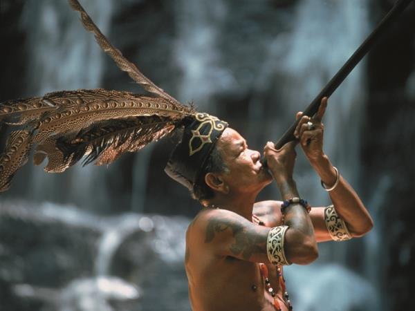 Borneo vacation, Sarawak highlights