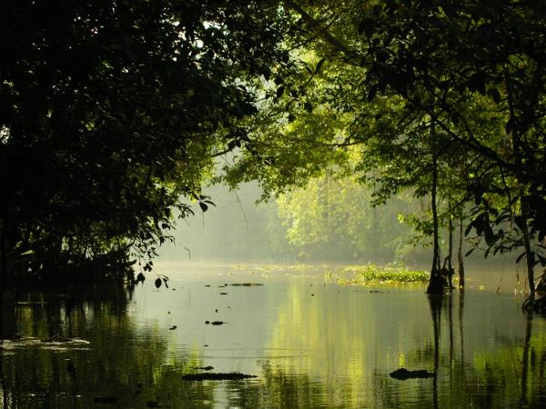 Borneo tailor made tour on a shoestring