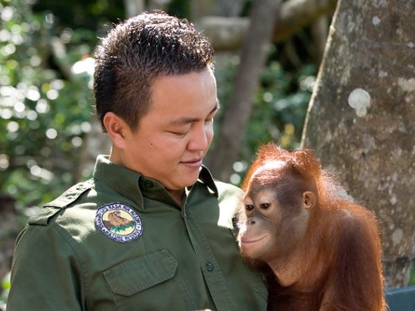 Borneo wildlife holiday with Mt. Kinabalu climb