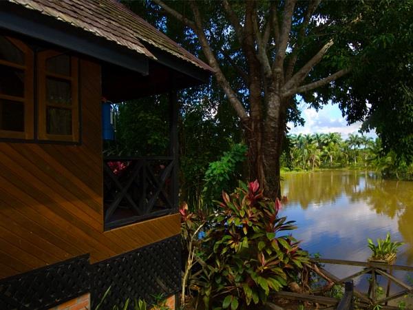 Borneo wildlife holiday with Mt. Kinabalu climb