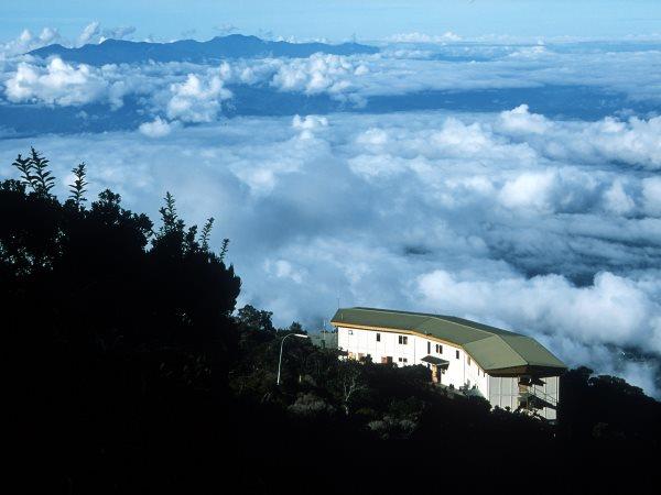 Borneo wildlife holiday with Mt. Kinabalu climb