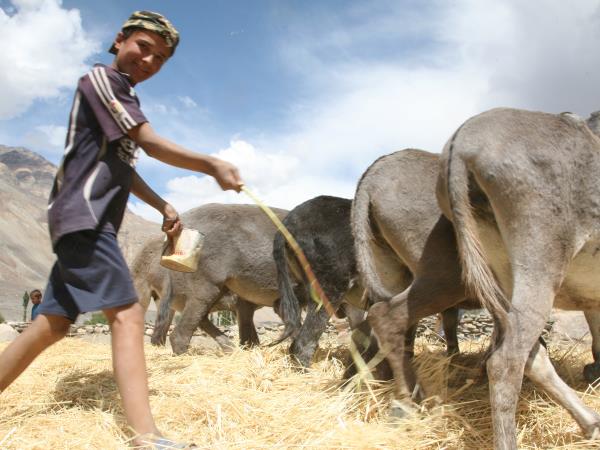 Silk Road vacations, Central Asia
