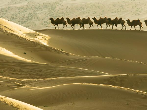 Silk Road overland vacation