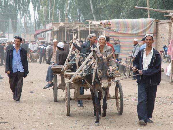 Silk Road overland vacation