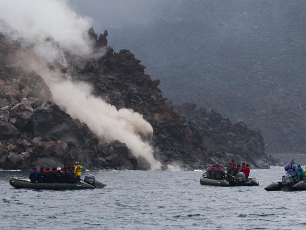 Kuril Islands cruises, bird watching cruise, Russia