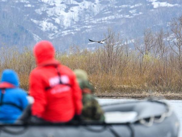 Kuril Islands cruises, bird watching cruise, Russia