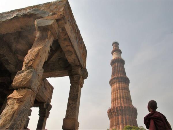 Golden Triangle & tigers in India